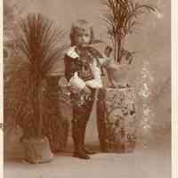          Bosworth: Unidentified Boy in Fancy Dress in Portrait Studio, c. 1900 picture number 3
   