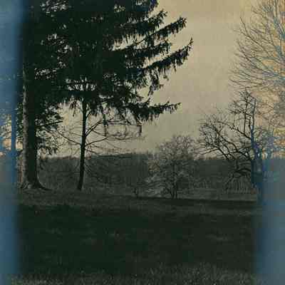 Hartshorn Photo Album 2: On Brantwood