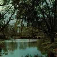 Taylor Park: Rahway River and Bridge