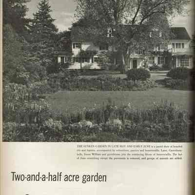 Wallbridge: House and Garden of William and Gertrude Wallbridge, 1946