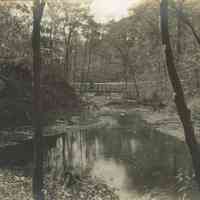 Hartshorn: Cora Hartshorn Photograph of Bridge in South Mountain Reservation