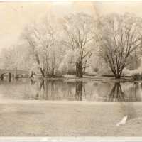 Taylor Park: Bridge