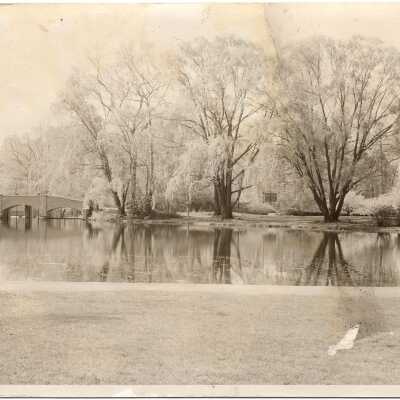Taylor Park: Bridge