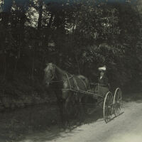 Marshall-Schmidt Album: Elizabeth Schmidt-Marshall Driving Horse & Carriage