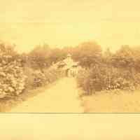          Hartshorn Album 3: House at End of Garden Path picture number 2
   