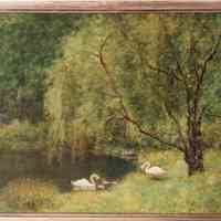 Derrick: Swans at Pond Painting
