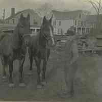 Marshall-Schmidt Album: Man Standing Next to Two Horses