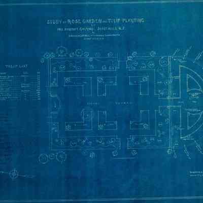 Wodell & Cottrell: Study for Rose Garden and Tulip Planting for Mrs. Bancroft Gherardi, 1931