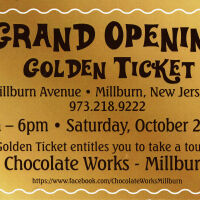          Chocolate Works Millburn, Grand Opening Golden Ticket, 2014 picture number 1
   