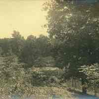 Hartshorn Album 3: Landscape View in Short Hills