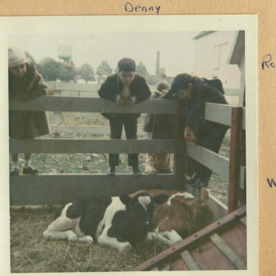Field Trip on which some students had never seen cows before.