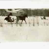 Horse-Drawn Sleigh