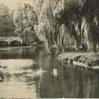 Taylor Park: View of Rahway River in Taylor Park, 1939