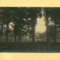          Hartshorn Album 3: House as viewed through screen of trees picture number 2
   