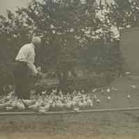          Inscription: This shows the north side of the brooder house.
   