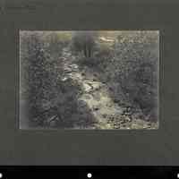         Hartshorn: Cora Hartshorn Photograph of South Mountain Reservation picture number 2
   