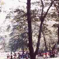          Battle of Springfield: Reenactment of Battle of Springfield, 1976 picture number 3
   