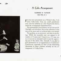          Faitoute: Calla Arrangement by Florence Faitoute, 1940 picture number 2
   