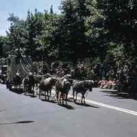 Centennial Parade: Radio Sales Corp. Calliope and Eight Ponies, 1957