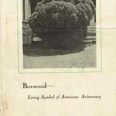 Wehrle Scrapbook: Schmidt Nurseries Boxwood Pamphlet