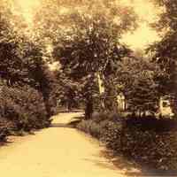          Hartshorn Album 3: Dirt Road Leading to House picture number 1
   