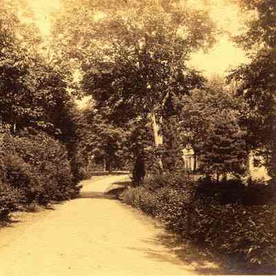 Hartshorn Album 3: Dirt Road Leading to House