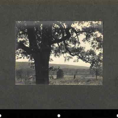 Hartshorn: Cora Hartshorn Photographs of South Mountain Reservation