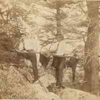          Bosworth: Photographs of Men & Women Climbing on Rocks and Trees, c. 1900 picture number 3
   