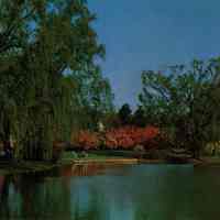 Taylor Park: Pond and Bench