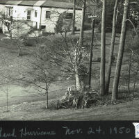 Hurricane: Aftermath, November 24, 1950