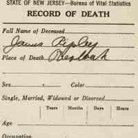          Macpherson: Dr. Elwood Macpherson's certified Death Records for residents, 1920s-30s picture number 2
   