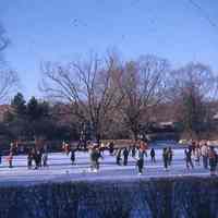 Taylor Park: Ice Skating on Taylor Park Pond