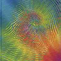 Deerfield School: Yearbooks, 2005-2009