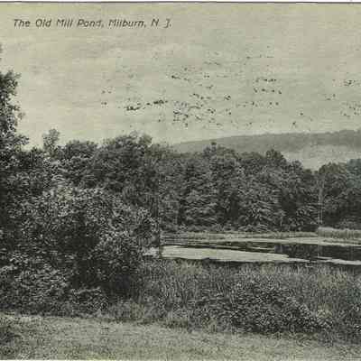 Old Mill Pond, Millburn, 1908