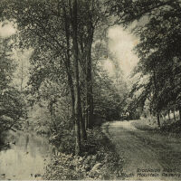 Brookside Road, South Mountain Reservation Postmarked 1908