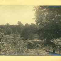          Hartshorn Album 3: Landscape View in Short Hills picture number 2
   
