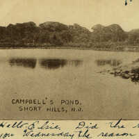          Postally used, Postmarked August 10, 1910
   