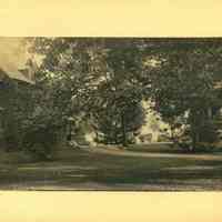          Hartshorn Album 3: Ivy Covered House as Seen From the Side picture number 2
   