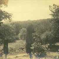 Hartshorn Album 3: Landscape from Short Hills