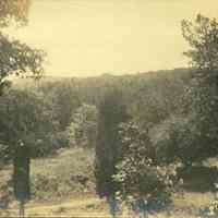          Hartshorn Album 3: Landscape from Short Hills picture number 1
   