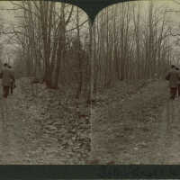 South Mountain Reservation Stereograph of Two Men on a Path