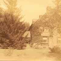 Hartshorn Album 3: Hartshorn House with Ivy and Trees