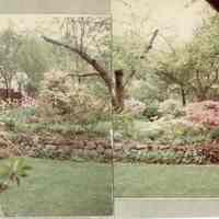          56 Highland Avenue Garden, 1967-8 picture number 1
   