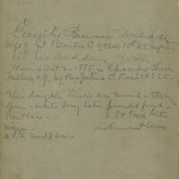          Brison: Emilie Benson Welsh in Her Wedding Gown, 1885 picture number 2
   