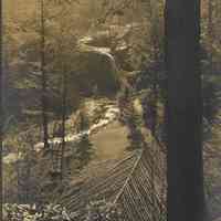 Hartshorn: Cora Hartshorn Photograph from South Mountain Reservation