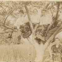          Bosworth: Photographs of Men & Women Climbing on Rocks and Trees, c. 1900 picture number 4
   