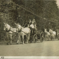          Parade: May 1917, Two Women with Male Driver in Horse-Drawn Cart picture number 1
   