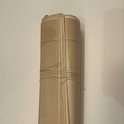 Brison: Blanton Charles Welsh Notes About Benson Genealogy, 1938