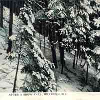         After a Snow Fall, Millburn, N.J., c. 1908 picture number 1
   