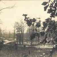 Hartshorn: Cora Hartshorn Photograph of a winding Road in South Mountain Reservation